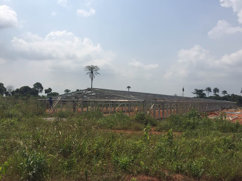 Nigeria Chicken House Project