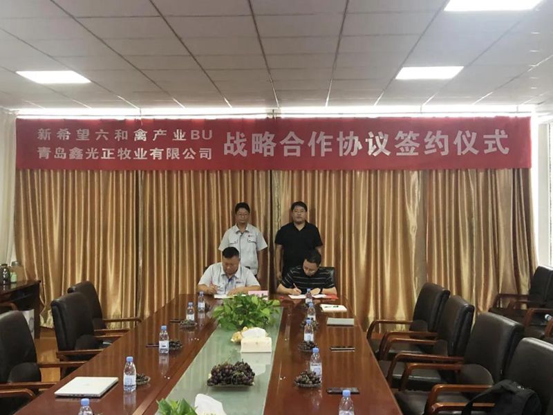 青岛鑫光正牧业有限公司与新希望六和禽产业BU举行战略合作签约仪式
