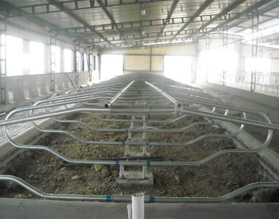 Galvanized Steel Tube Cow Free Stall for Cow Dairy Farms